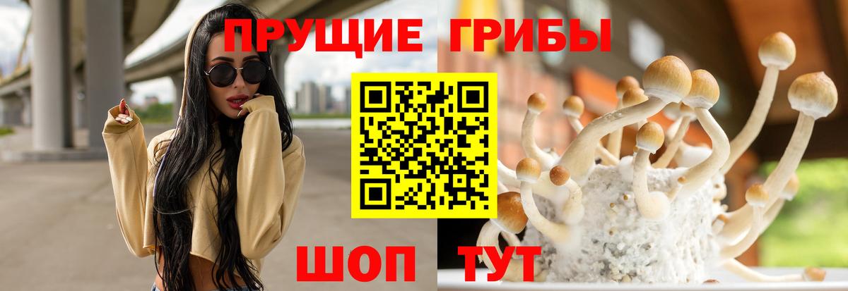Ярцево  Псилоцибиновые грибы Psilocybe  Галлюциногенные грибы Psilocybine cubensis  Вход с VPN 